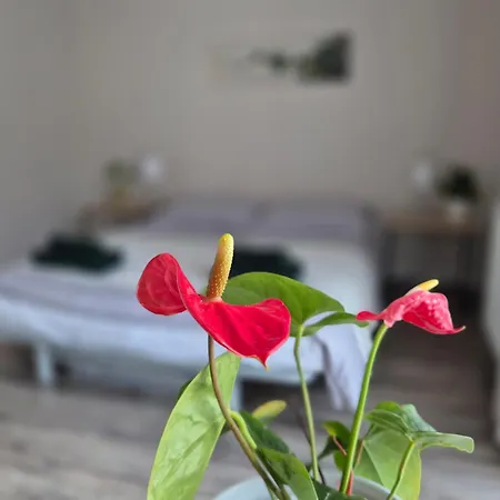 Spot - 70m2 Modern Apartment, Free Parking, Near Magnolia And Center Βρότσλαβ